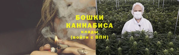 СК Новозыбков