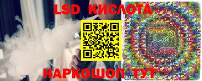 шишки Бийск