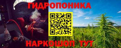 дмт Берёзовский