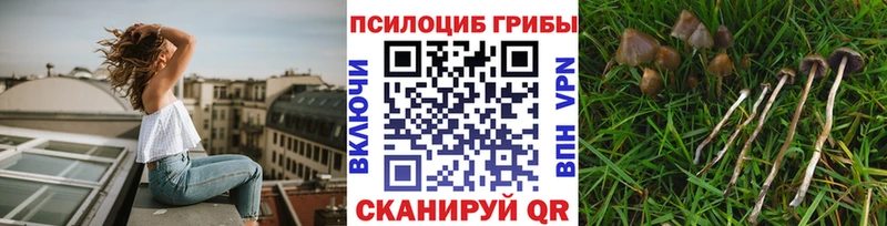 наркошоп mega как войти Галлюциногенные грибы мухоморы Бугуруслан