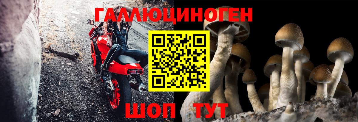 Галлюциногенные грибы мицелий Бугуруслан