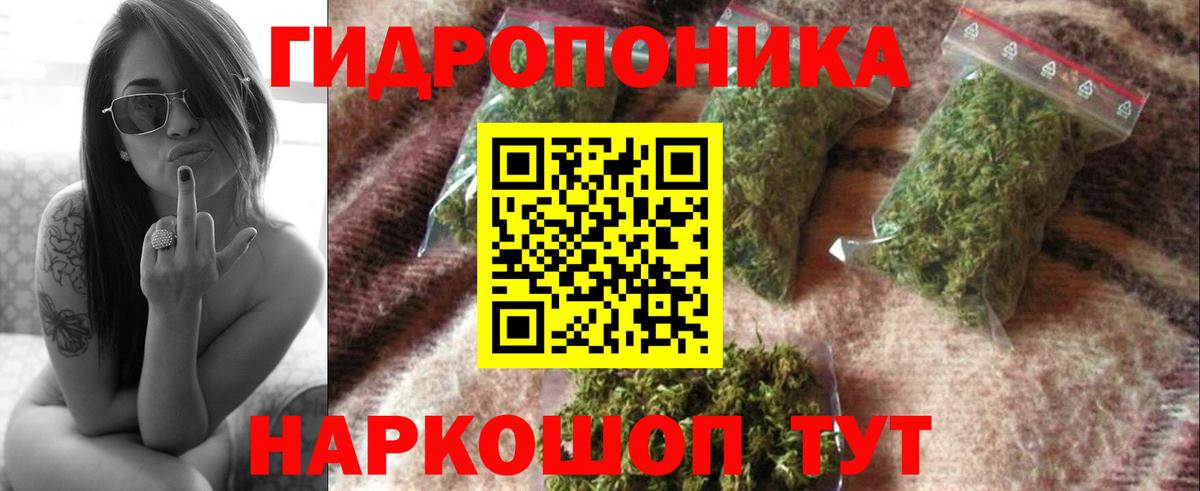 Конопля THC 21%  Шишки марихуана планчик  Вход с VPN  Каннабис конопля  Бугуруслан 